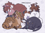 ねこダンツポケカフェオン