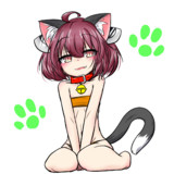 遅ればせながら猫の日！(ΦωΦ)