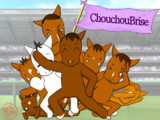 HAPPY BIRTHDAY ChouchouBrise！！