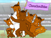 HAPPY BIRTHDAY ChouchouBrise！！