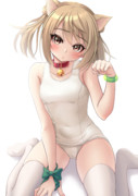 猫ミミ白スク満潮