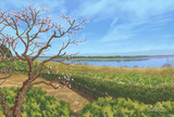 印旛沼公園の早春