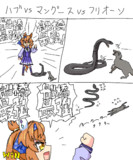 ハブvsマングースvsフリオーソ