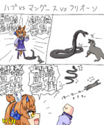 ハブvsマングースvsフリオーソ