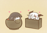 のむ