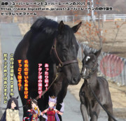 まんはったんかふぇ の ぶれいくたいむ２０２はいめ【イクイノックス×ユーバーレーベンの仔誕生！】