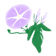 【素材】朝顔・薄紫・透過素材【フリー素材処くらげや】