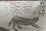 黒猫