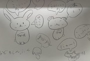 動物