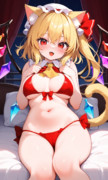猫フランさん