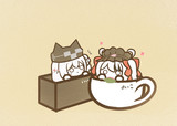はなびら