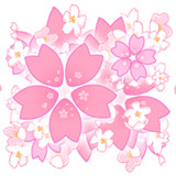 春、華やかな桜