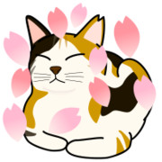 さくらねこ
