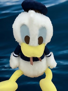 ドナルド