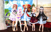 【今日のレア様】みんなで 整列おみあしさんっ！