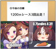 1200mレース3回出走だ！