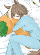 おやすみシュヴァル