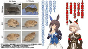 マウスの＝予想以上にモフモフ…＝体毛