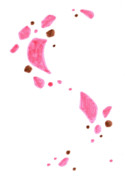 桜待ち