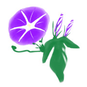 【素材】朝顔・濃紫・透過素材【フリー素材処くらげや】