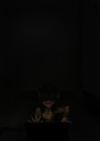 ボットントイレの中から出てきた少女