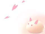 春っぽい感じ