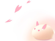春っぽい感じ