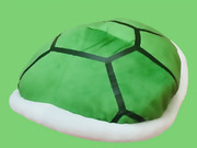 こうら