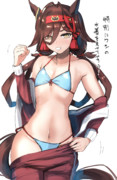 ノーリーズン　水着
