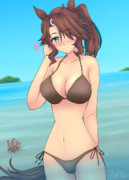 パーマーの誕生日にふたりでバカンス