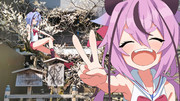 飛梅の写真を現像したらかわいいのが写ってた