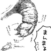 かめのおてて