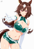 レースクイーン風シリウスシンボリ