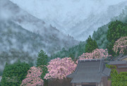 雨中のしだれ桜（身延山）