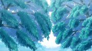【素材】背景・森・山中・早朝【フリー素材処くらげや】