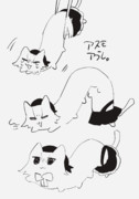 サヨトリムシ