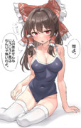むっちむちニーソスク水霊夢