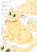エイプリルネコマキちゃん