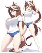 カイチョー＆テイオー