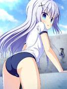 ブルマチノちゃん