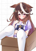 箱入りルナちゃん