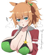 タイキシャトル