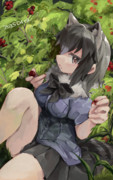 果物と茂み