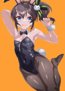 バニーまつり