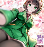 お花見はセイカさんのひざまくら