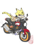 サーベルタイガー×FTR