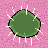 菌