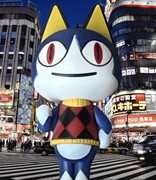 みしらむネコ