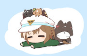もふもふせんきょ