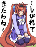 太ももが太い人は正座が苦手説
